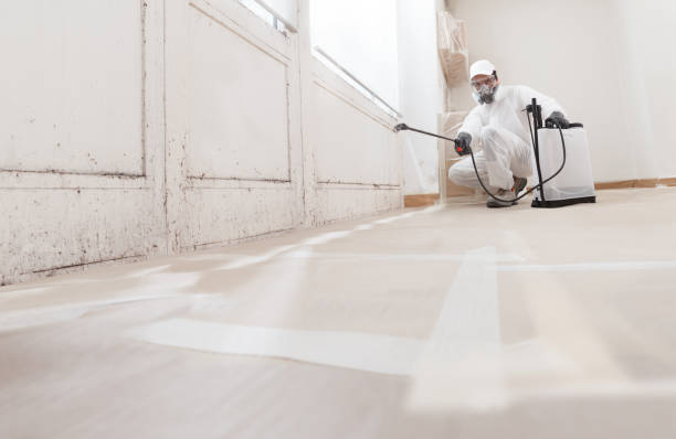 24/7 Emergency Mold Cleanup experts in Belleville, MI