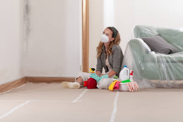 Reliable Mold Cleanup contractor in Belleville, MI by Cheap Mold Removal